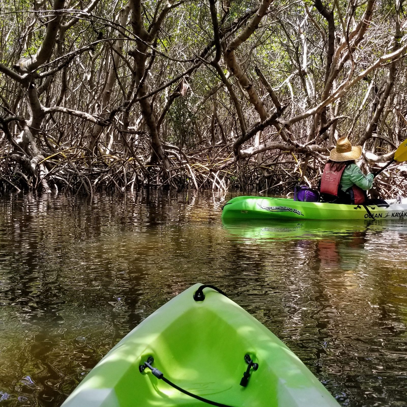 Your experience at Oleta River Kayak Rental