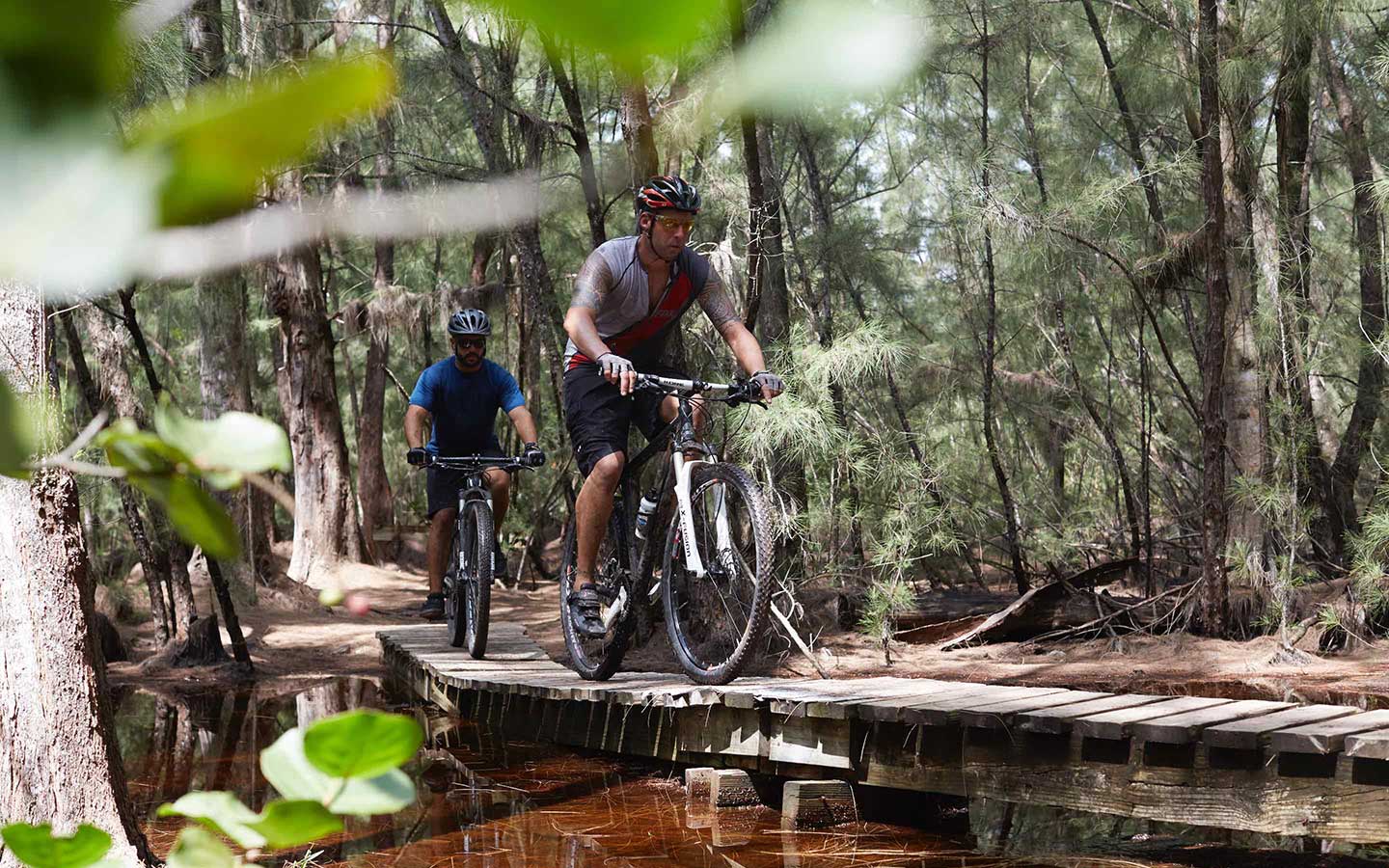 Mountain Biking Trails
