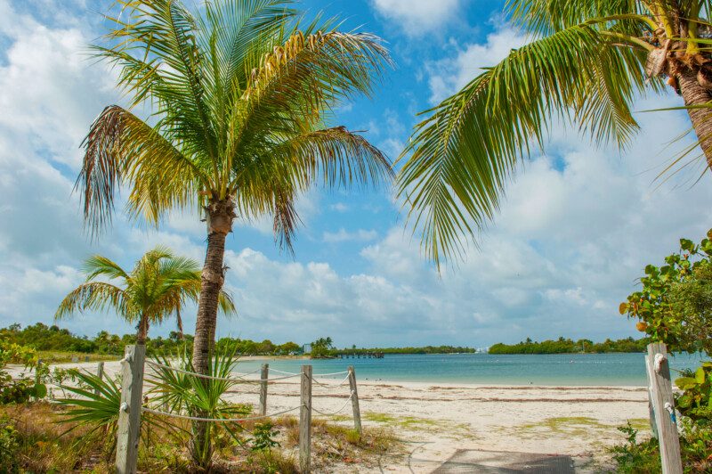 Sandy Beach Lagoon