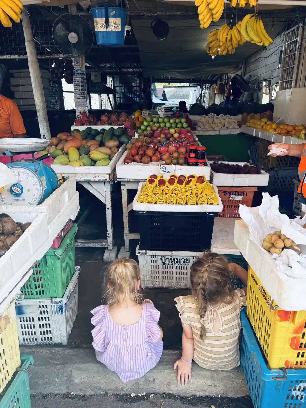 Tropical Fruit Vendors
