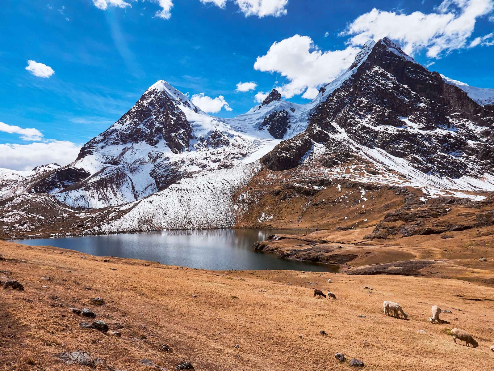 Ausangate 7 Lakes Trek