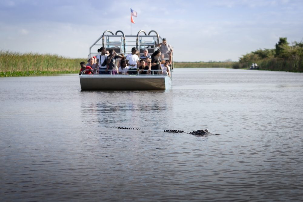 Your experience at Kissimmee Airboat Tours