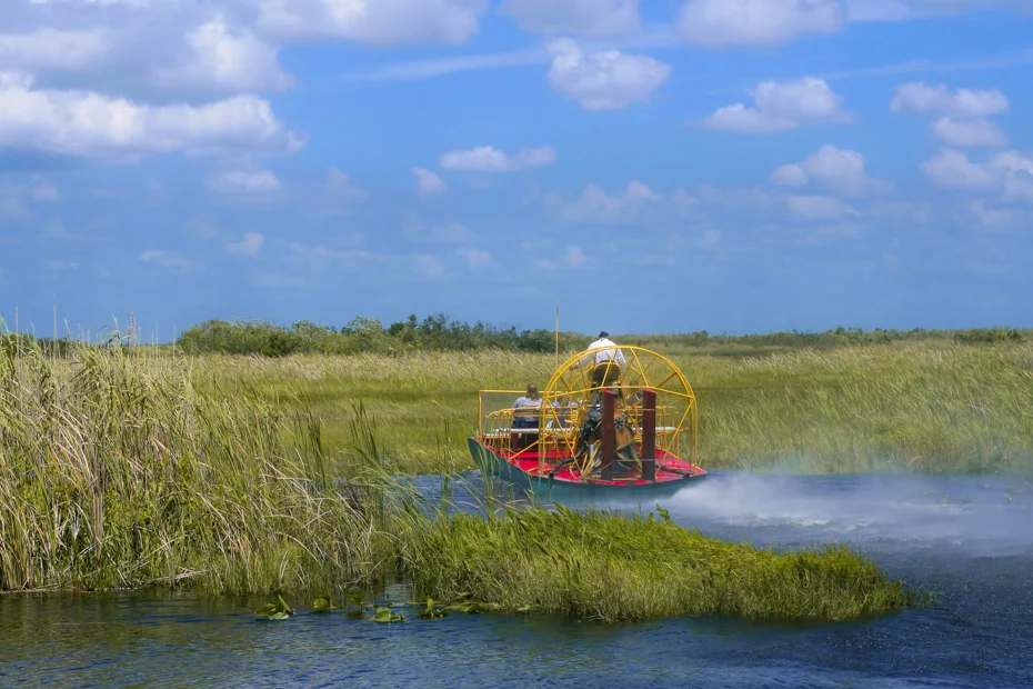 Kissimmee Airboat Tours Through Florida Wetlands