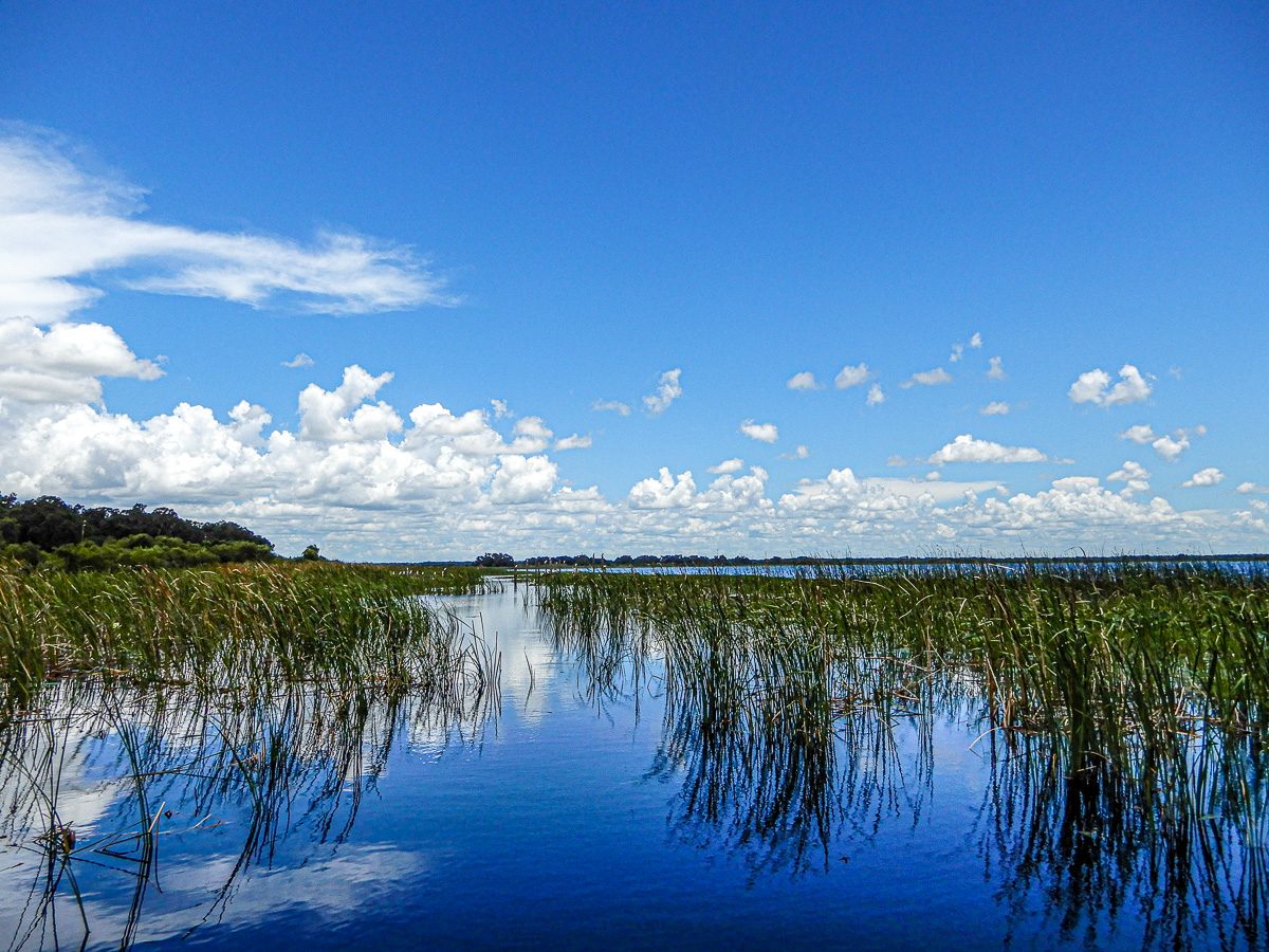 Lake Toho Headwaters