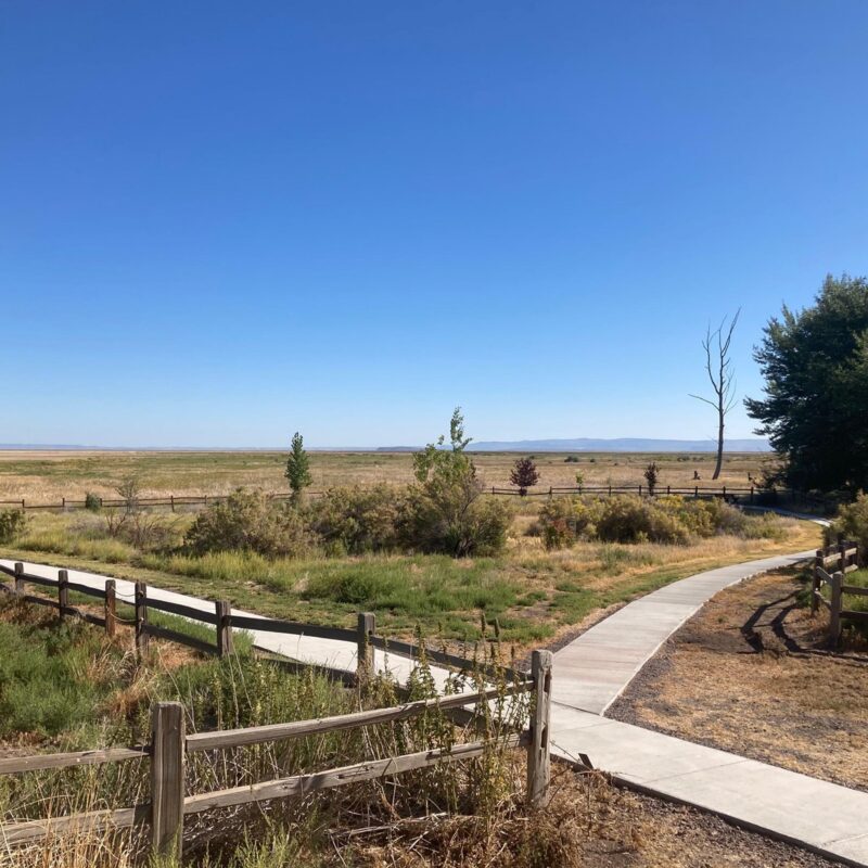 Wildlife Observation Zone