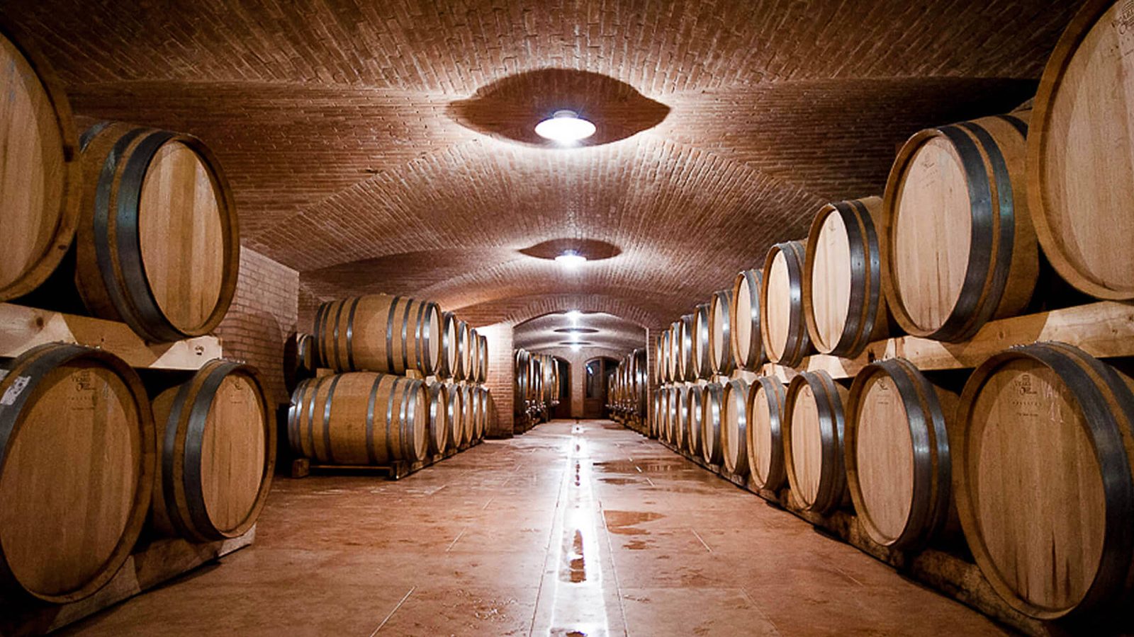 Your experience at Amarone Wine Tour From Verona
