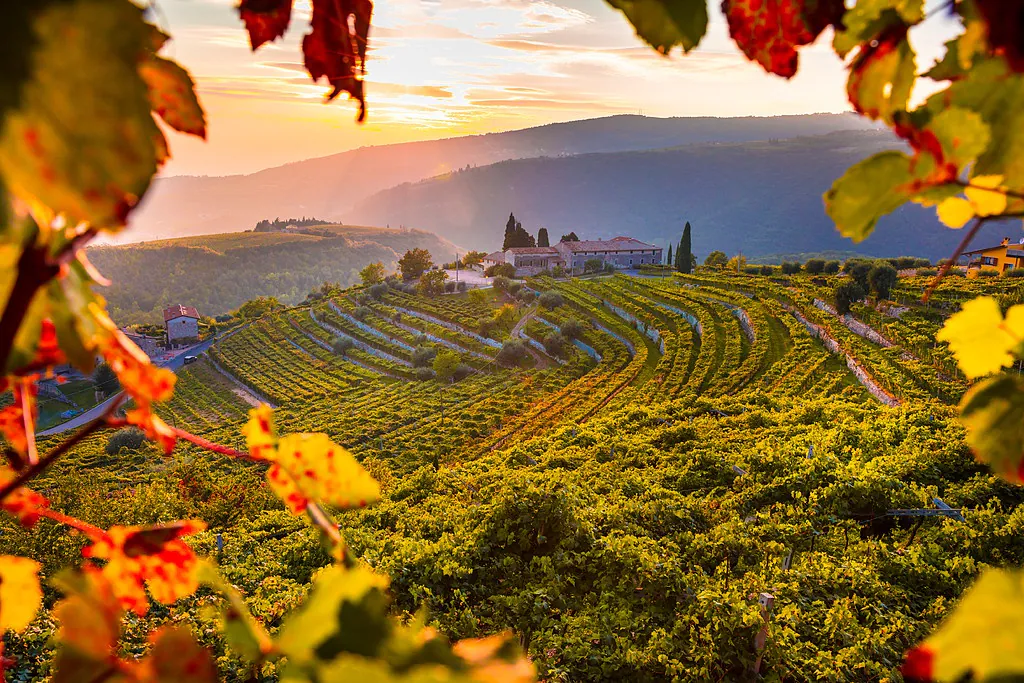 Amarone Wine Tour from Verona Through Valpolicella