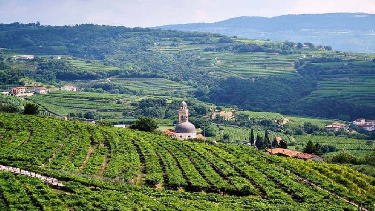 Amarone Wine Tour From Verona