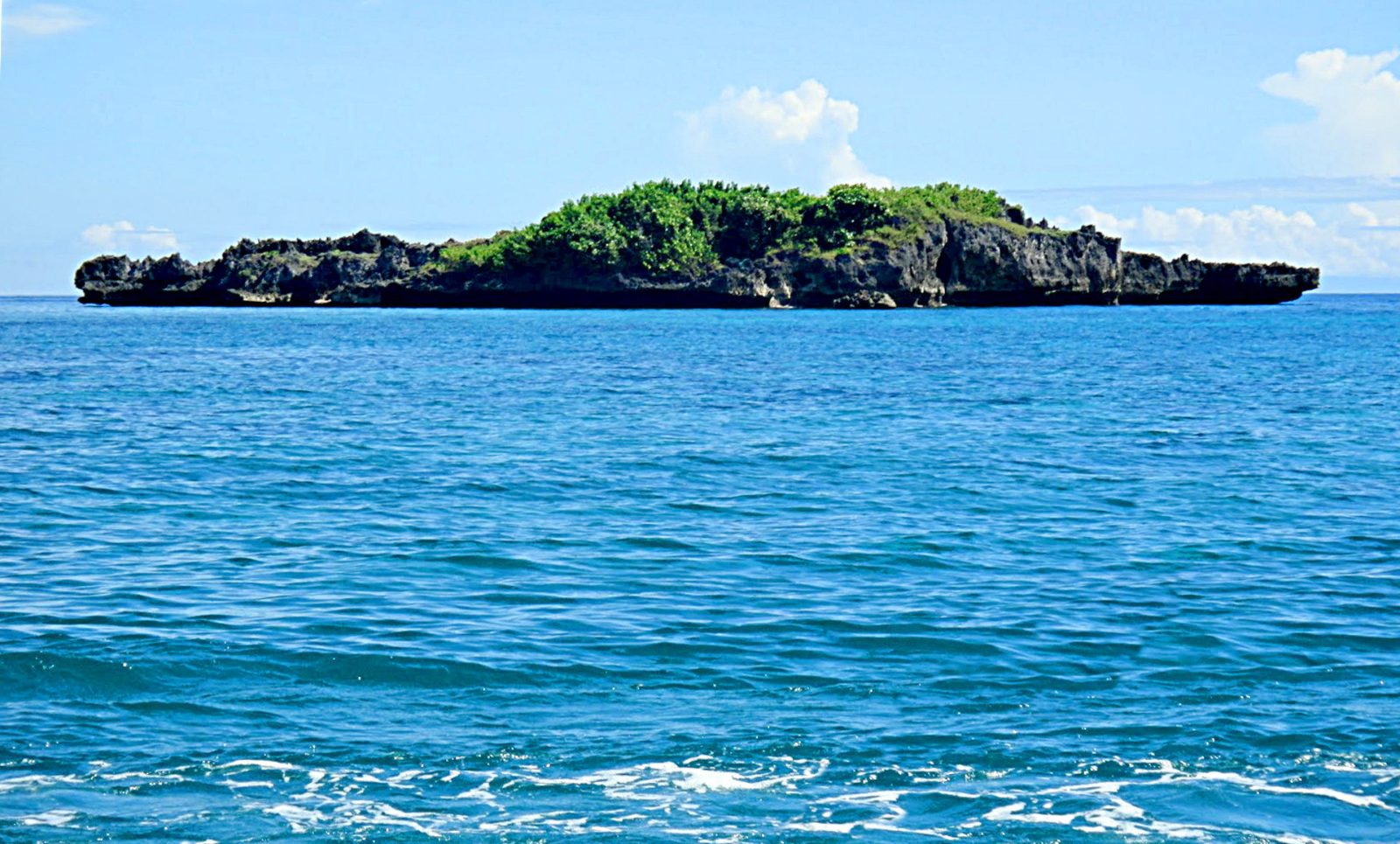 Crocodile Island