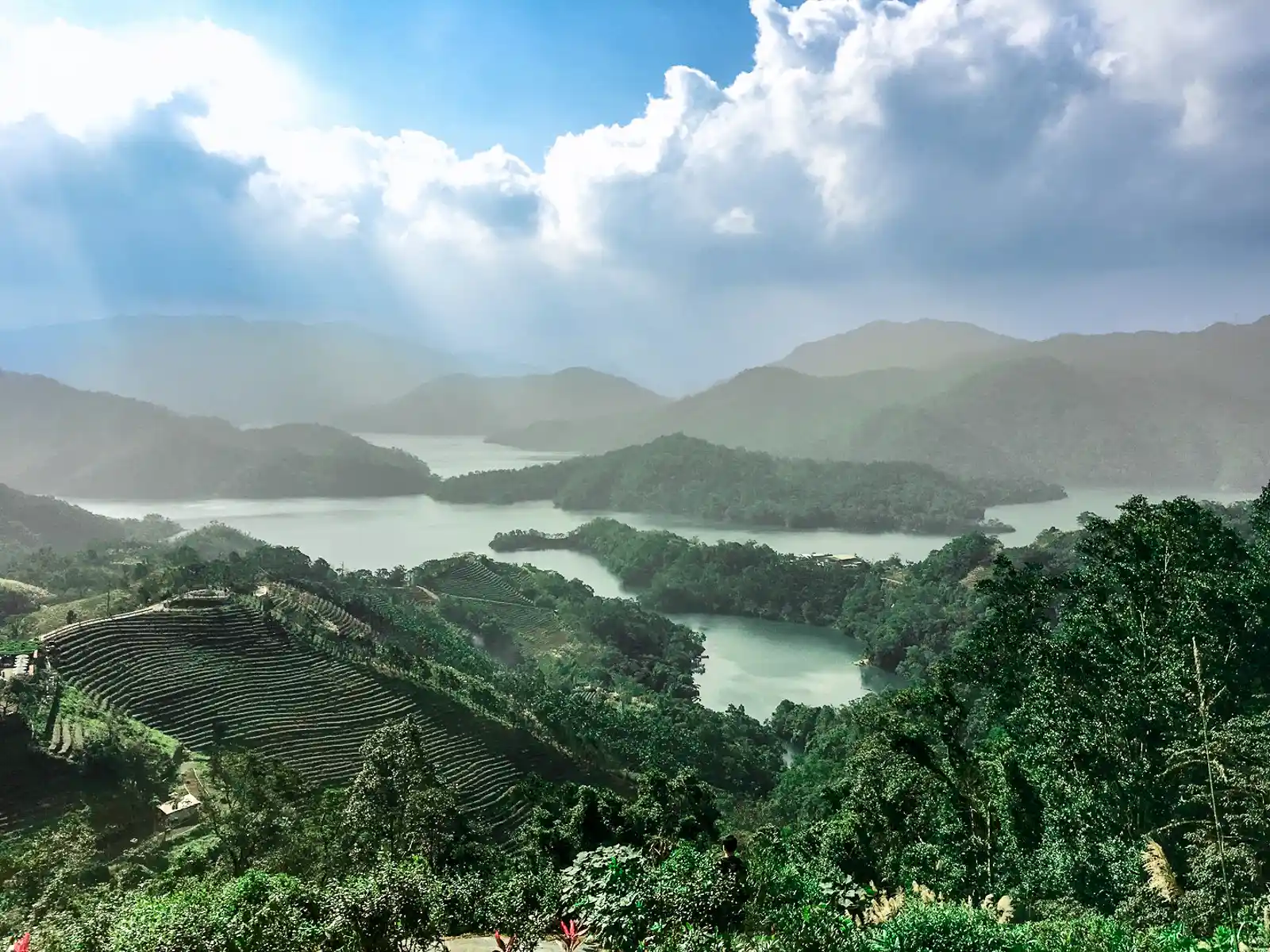 Pinglin Tea Tour