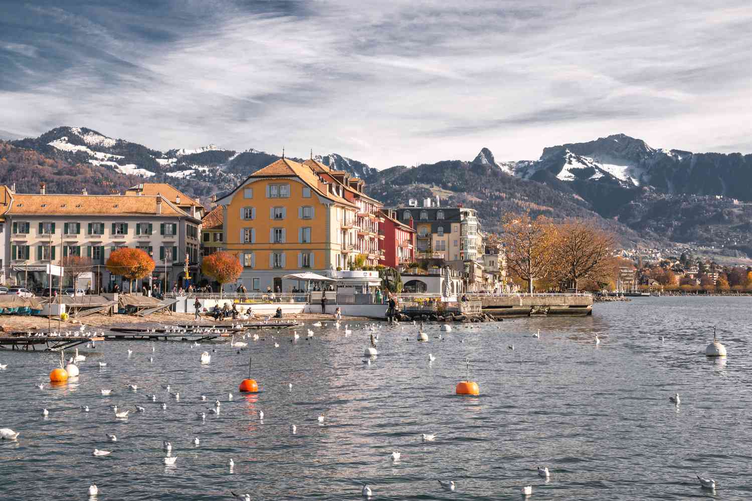 From Vevey