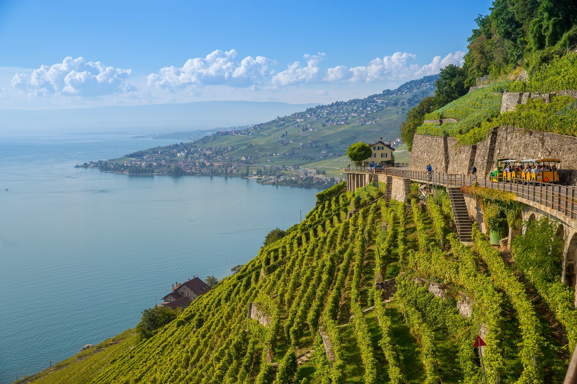 Lavaux Vineyards