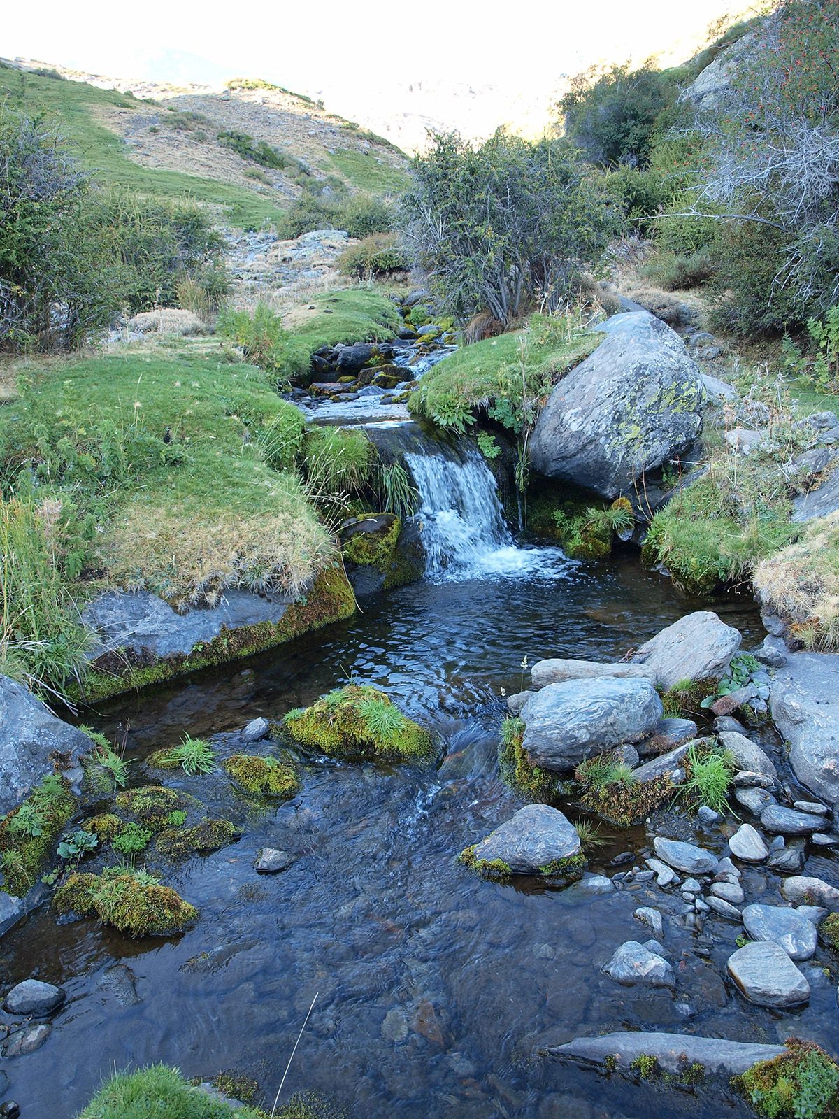Maitena River
