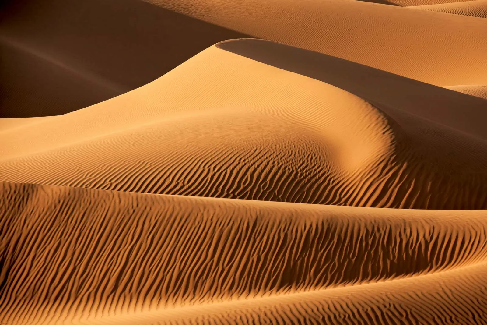 Dune Formation