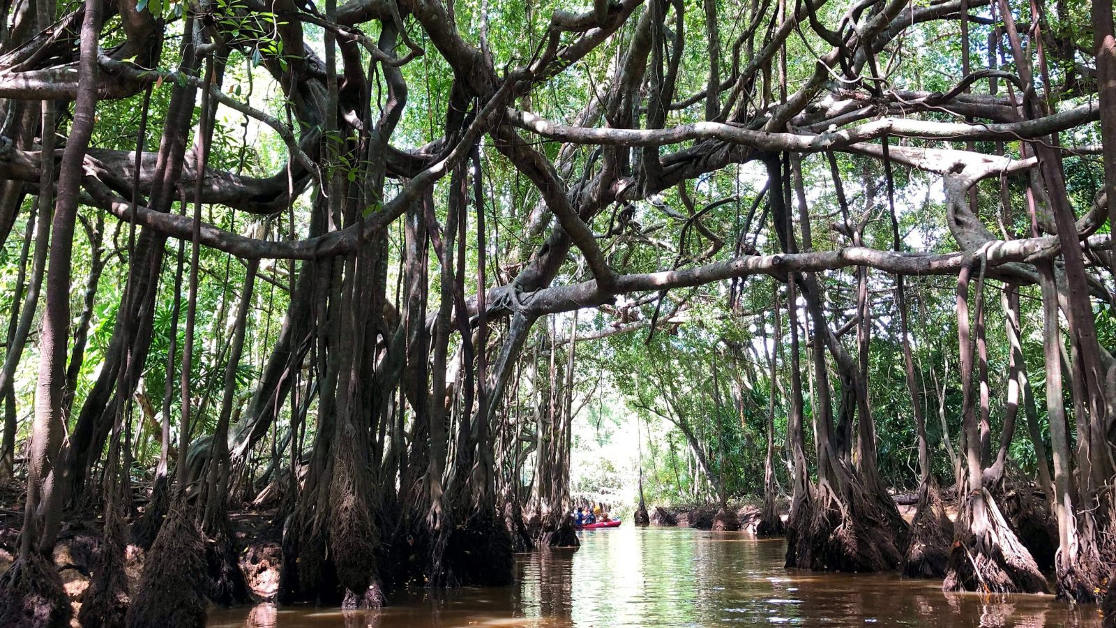 Little Amazon Khao Lak