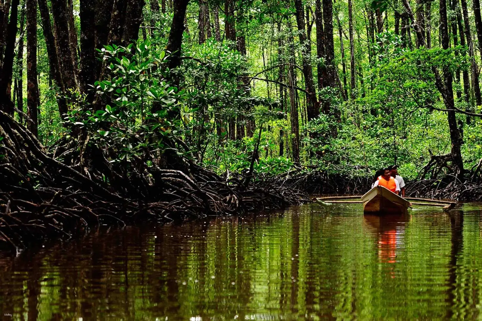 Your experience at Little Amazon Khao Lak