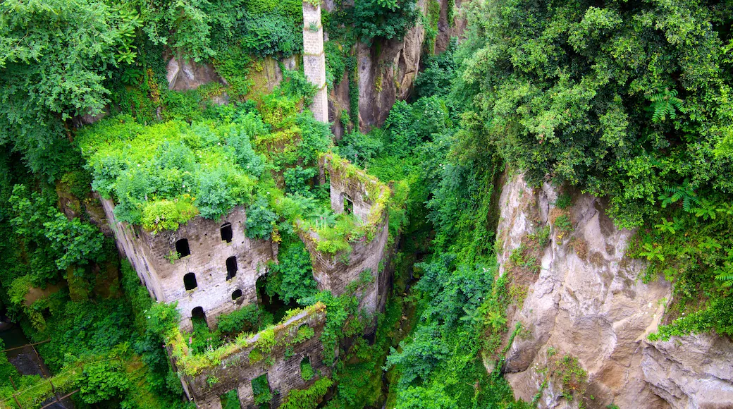 Deep Valley of the Mills
